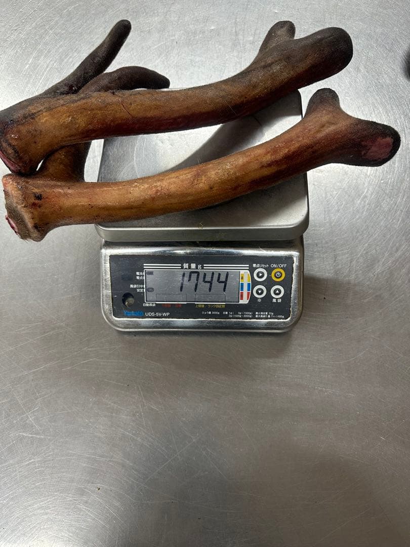 エゾ鹿鹿茸　1744g