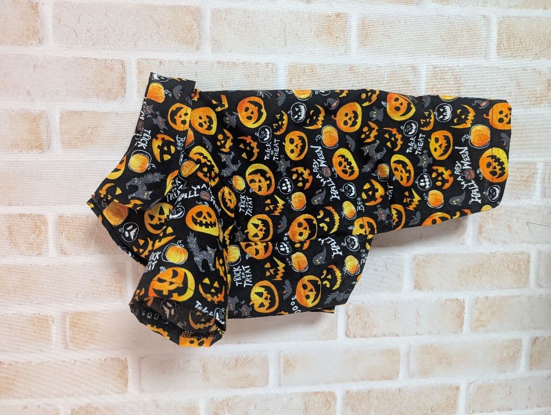 fwです イタグレ服　SMヒラヒラミニワンピとМシャツ黒地にカボチャ