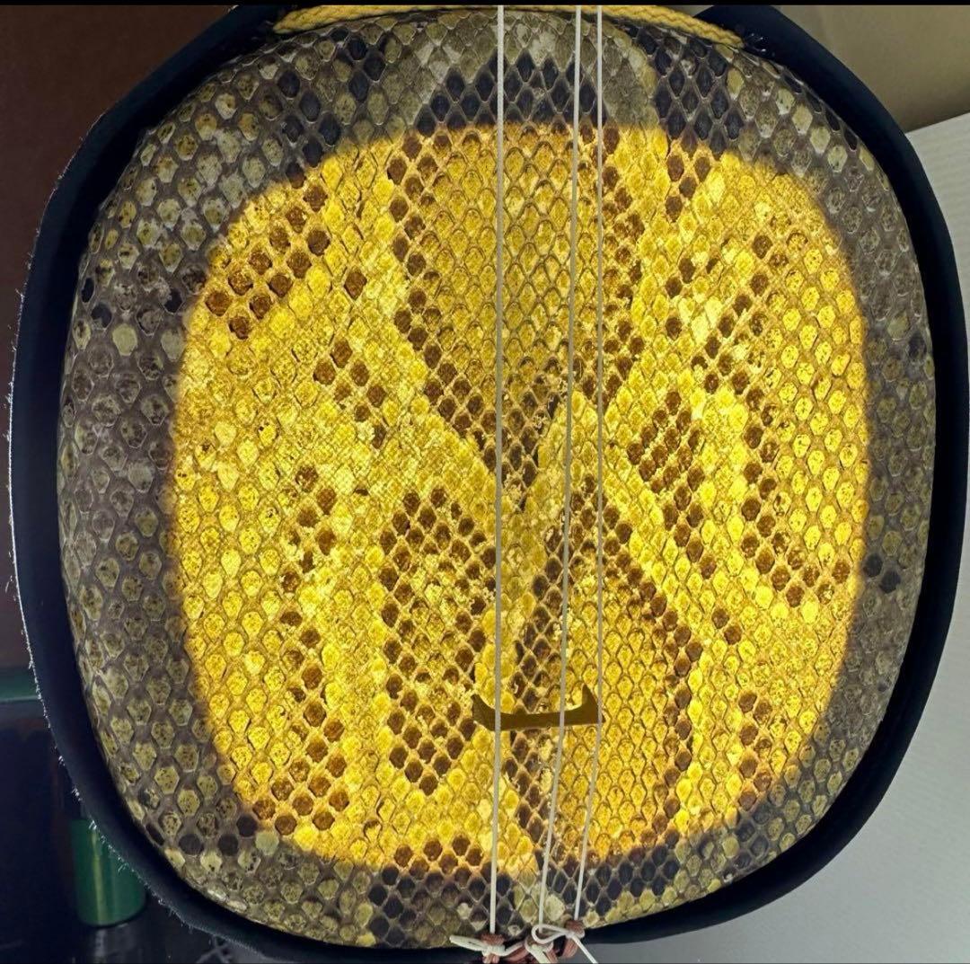 本日限定価格　沖縄三線　黒塗り　天然　蛇皮　ハードケース　和楽器