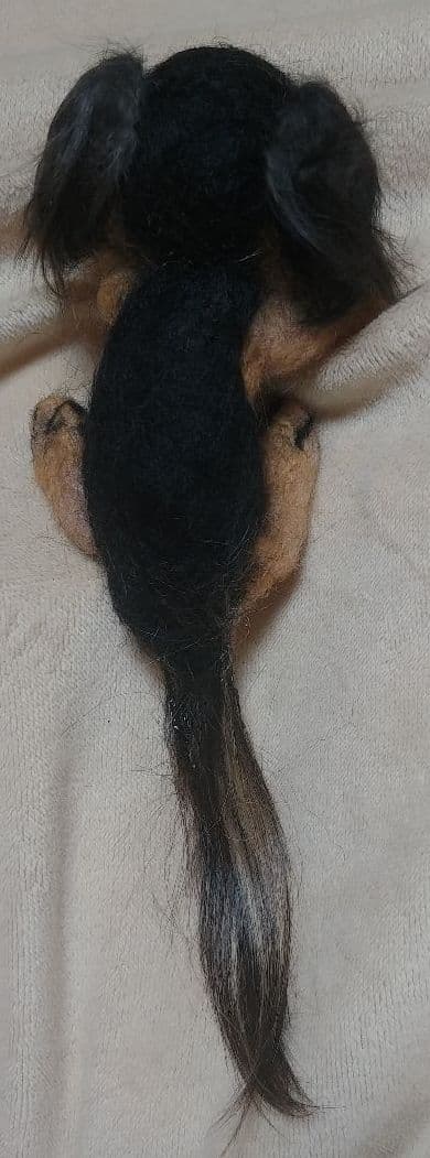 羊毛フェルト　ダックス　ブラックタン