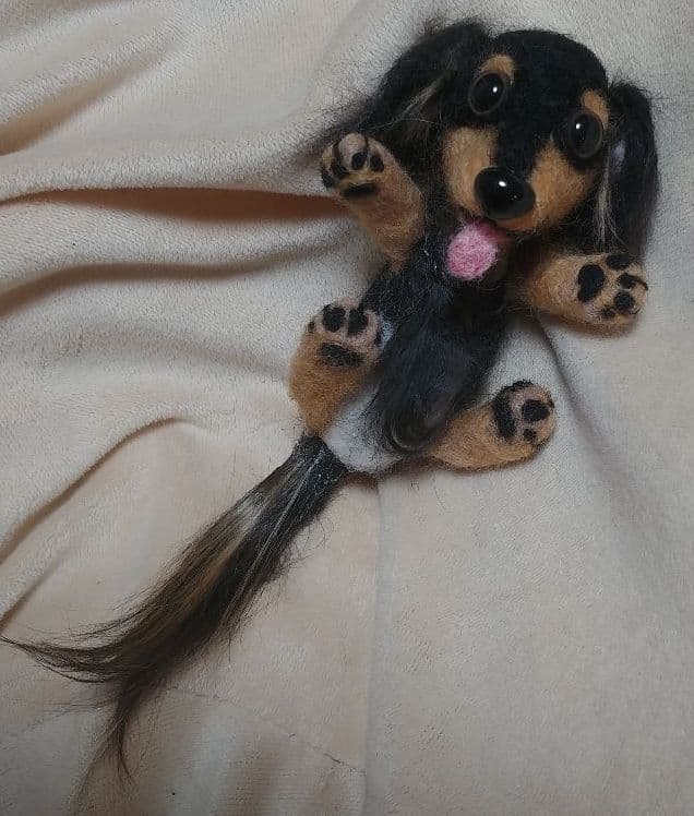 羊毛フェルト　ダックス　ブラックタン