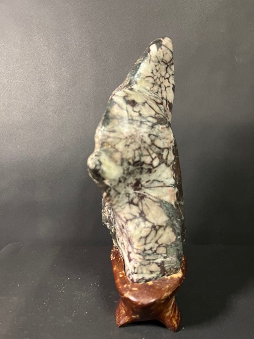 鑑賞石 菊花石 自然石 天然石 水石 盆石 置物 盆栽 インテリア