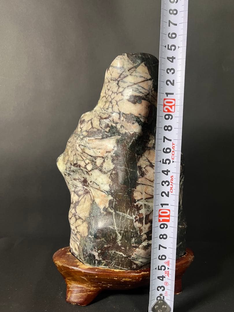 鑑賞石 菊花石 自然石 天然石 水石 盆石 置物 盆栽 インテリア