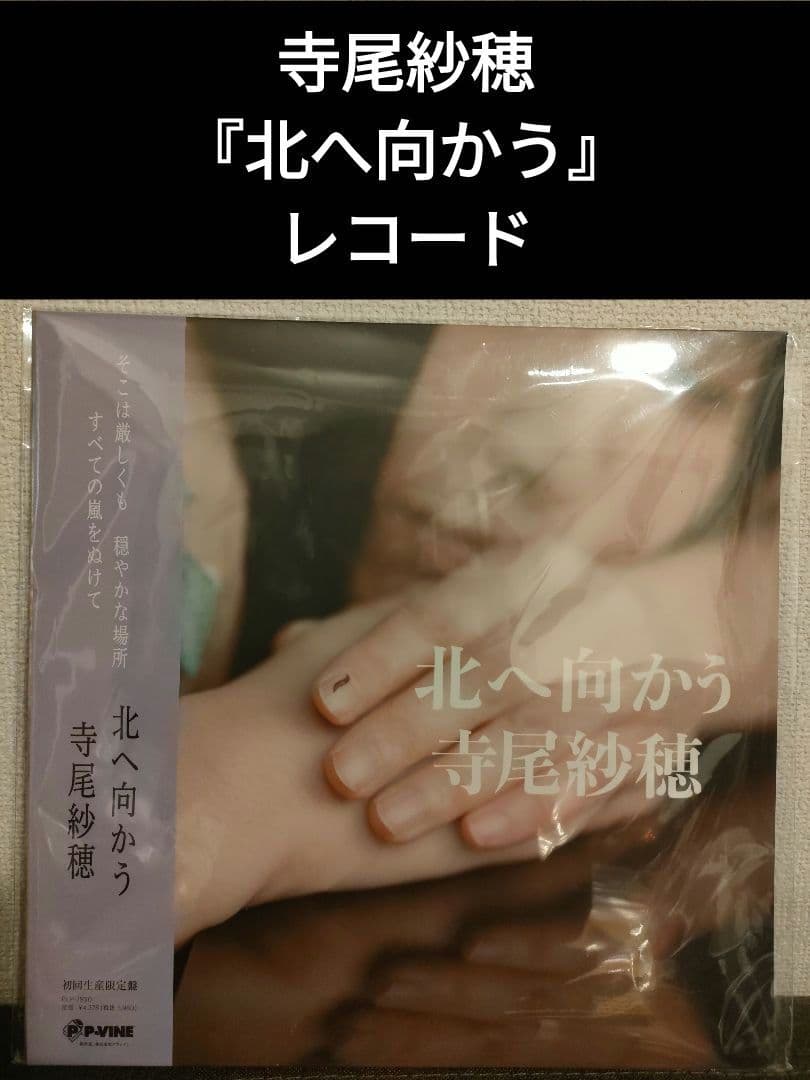 激レア!新品!寺尾紗穂『北へ向かう』レコード