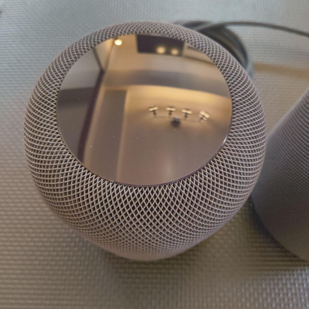 Apple Pod 第1世代 2台セット ステレオペア スペースグレイ
