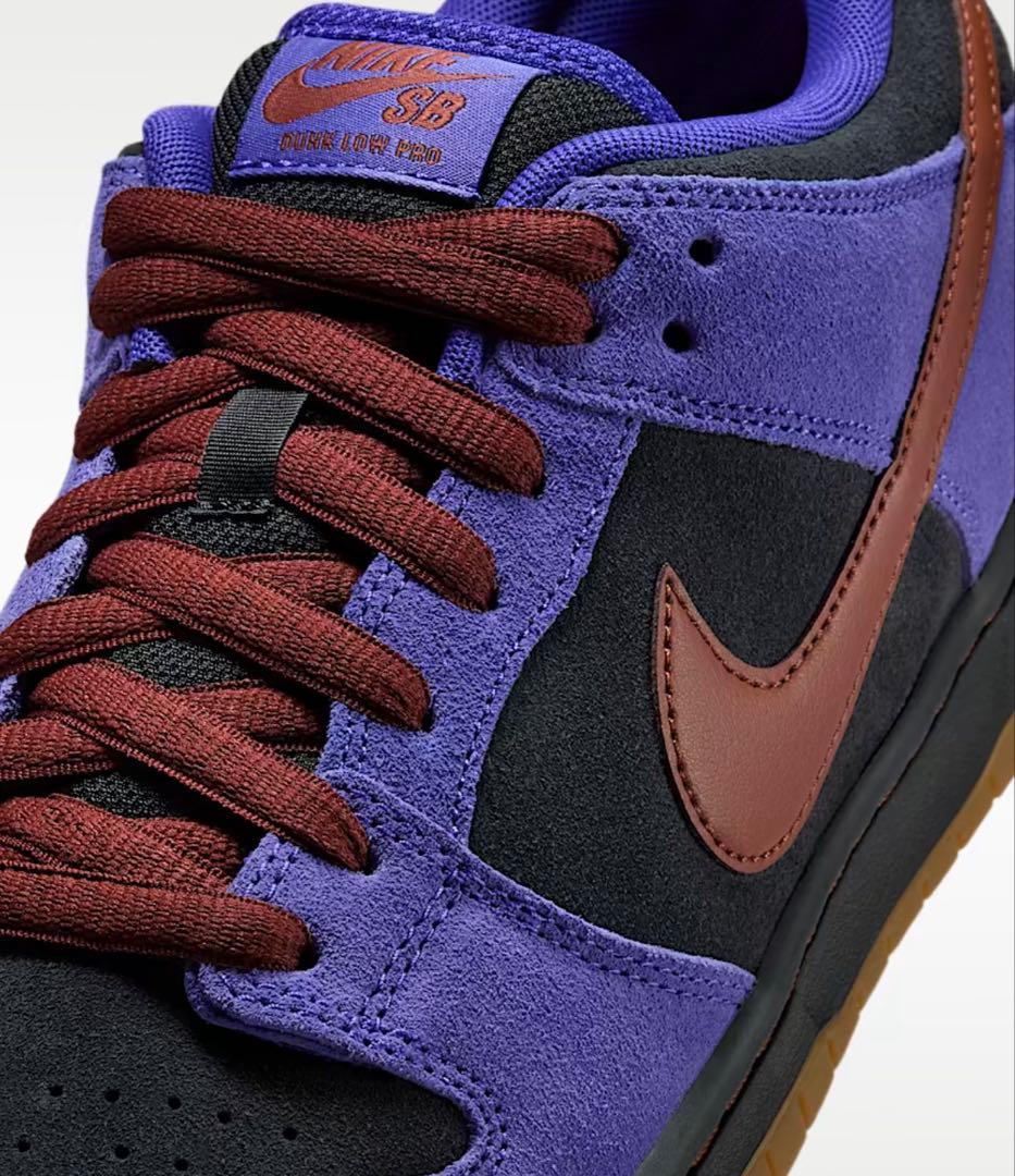 靴 Nike Dunk Low SB pa11