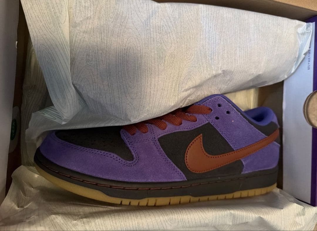 靴 Nike Dunk Low SB pa11