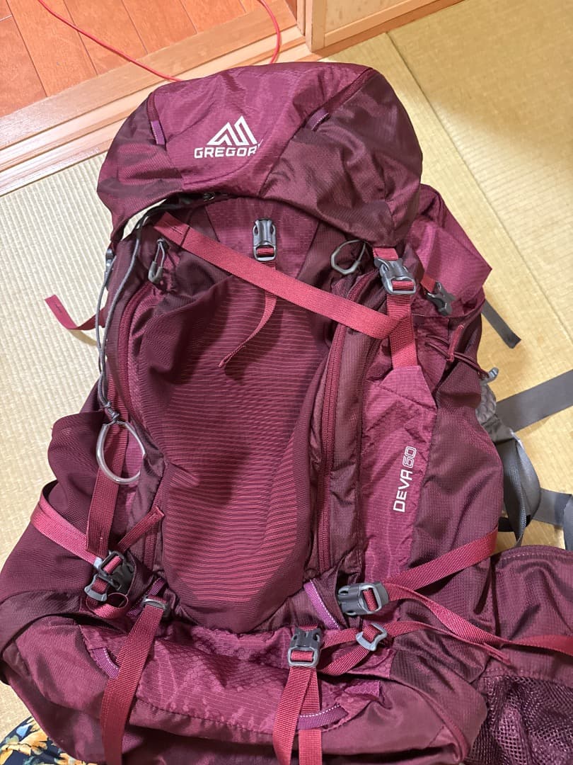 GREGORY DEVA 60 バックパック バーガンディ