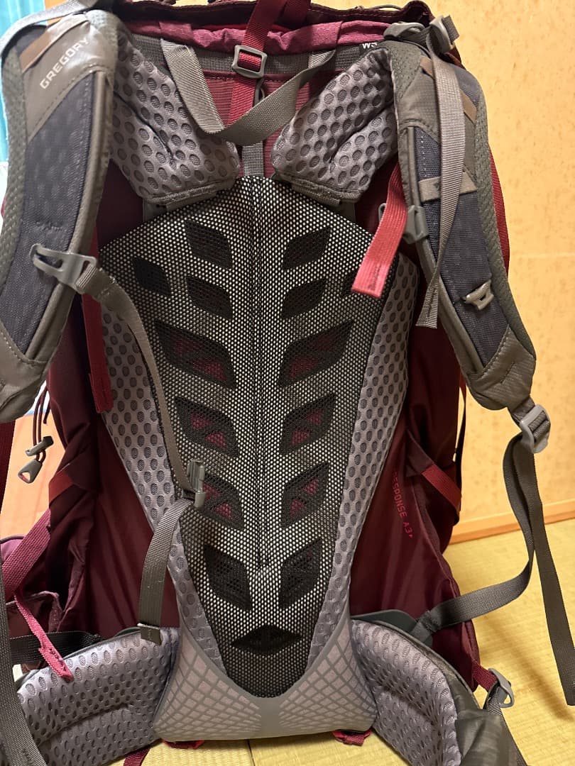 GREGORY DEVA 60 バックパック バーガンディ