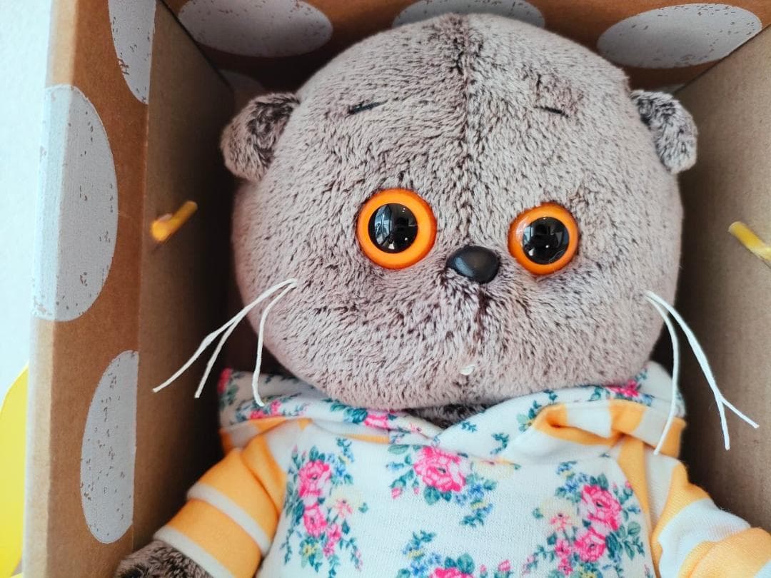 【BBB023】20cmブディーバーサ(Budi Basa) basikbaby