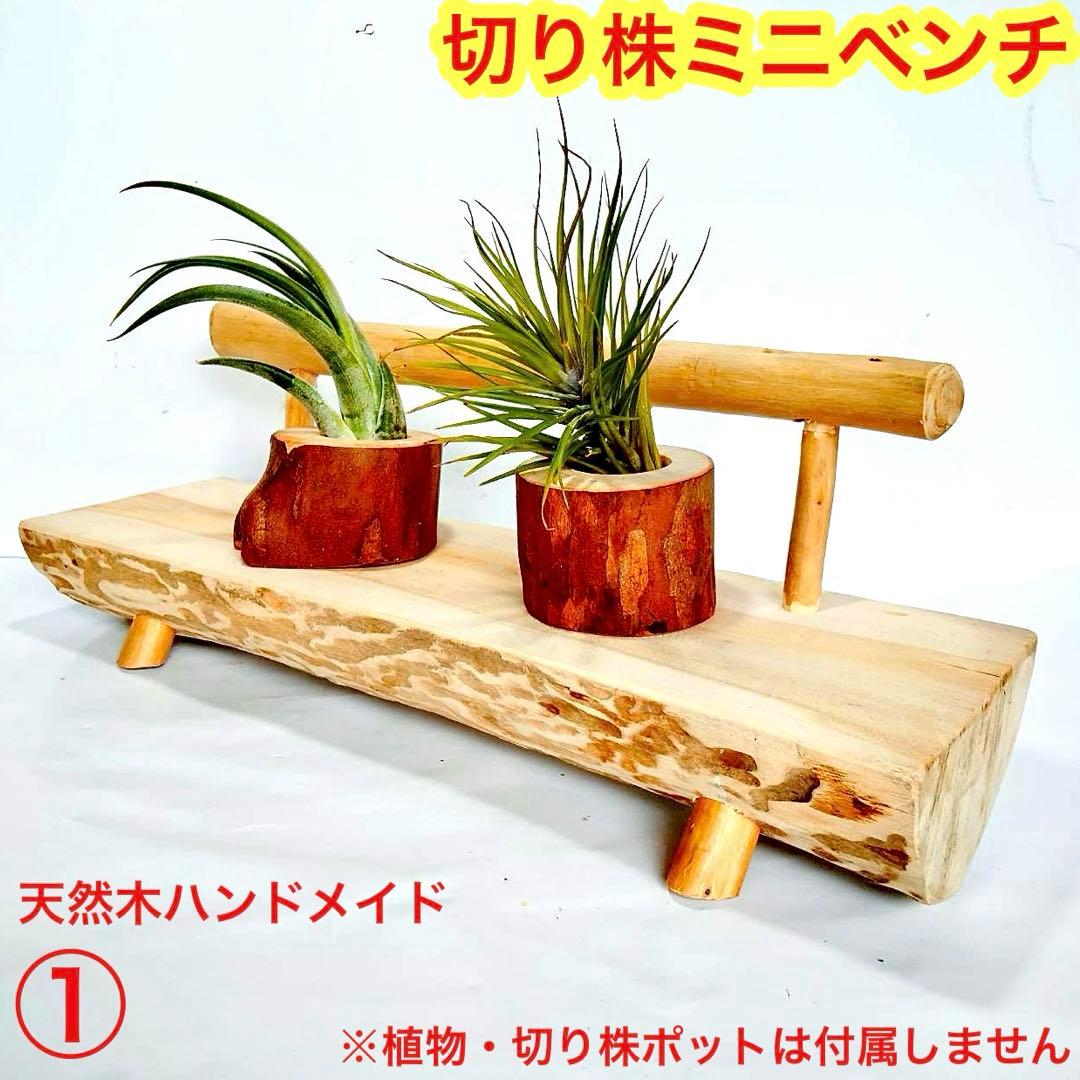 Borders様 リクエスト 5点 まとめ商品　輪切り　切り株　丸太　台座　花台