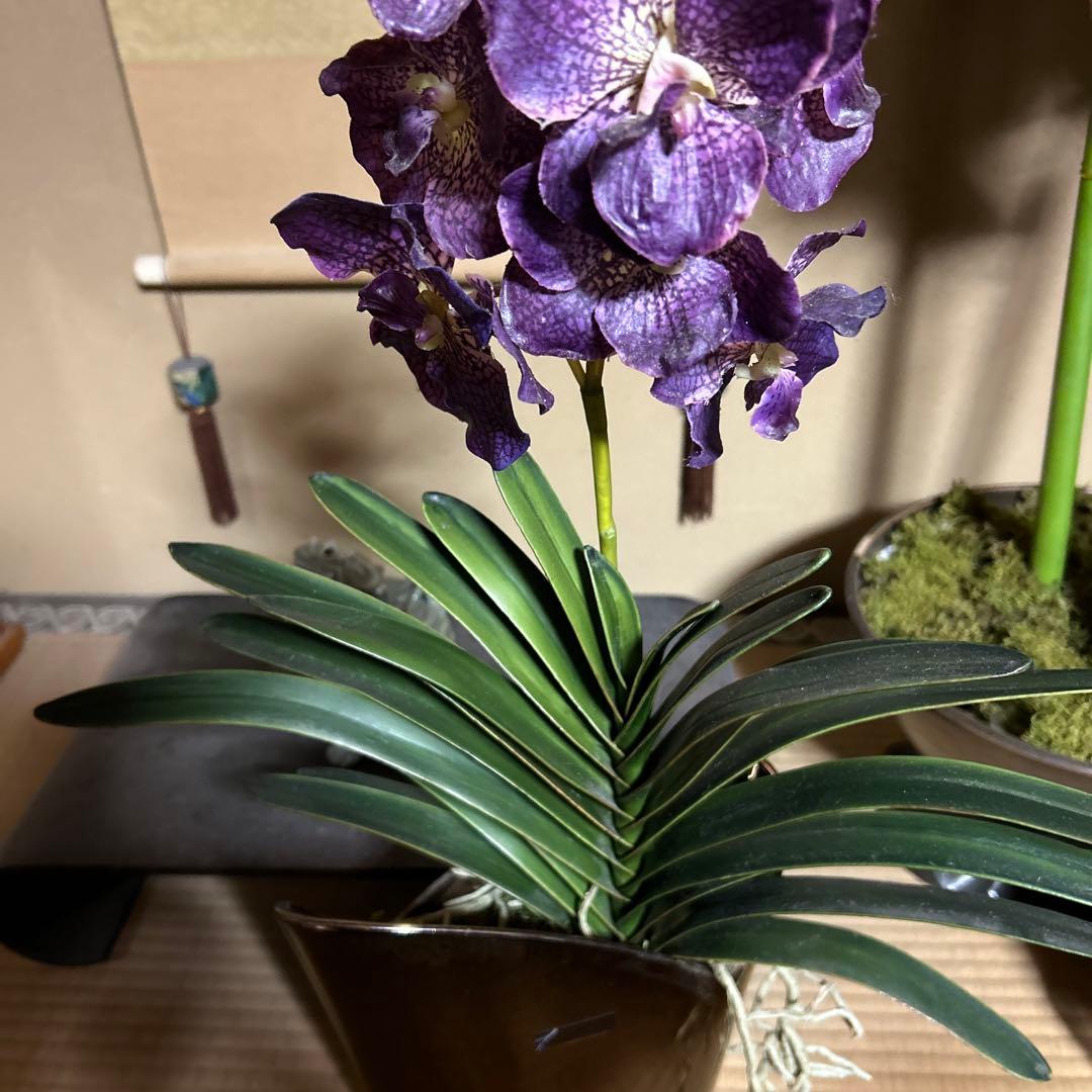 お値下げ　イタリア製　FUTURアートフラワー