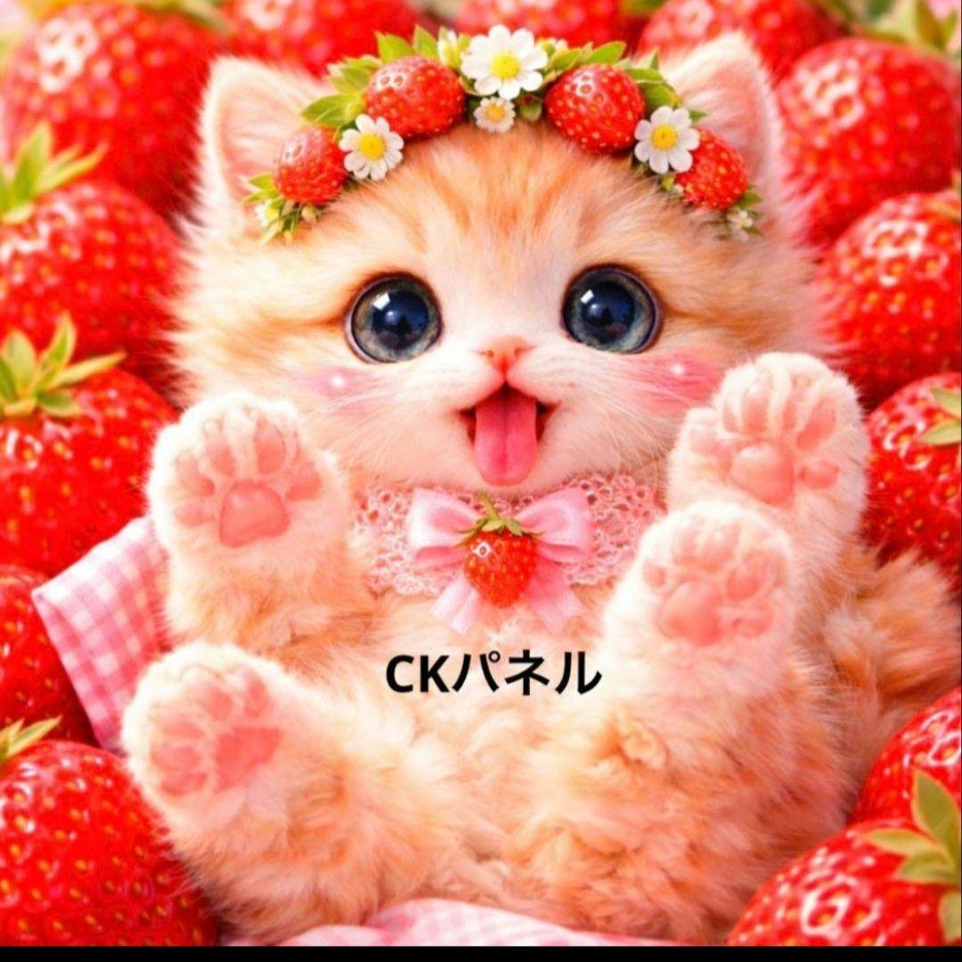 激レア招き猫パネル生地　ハンドメイド