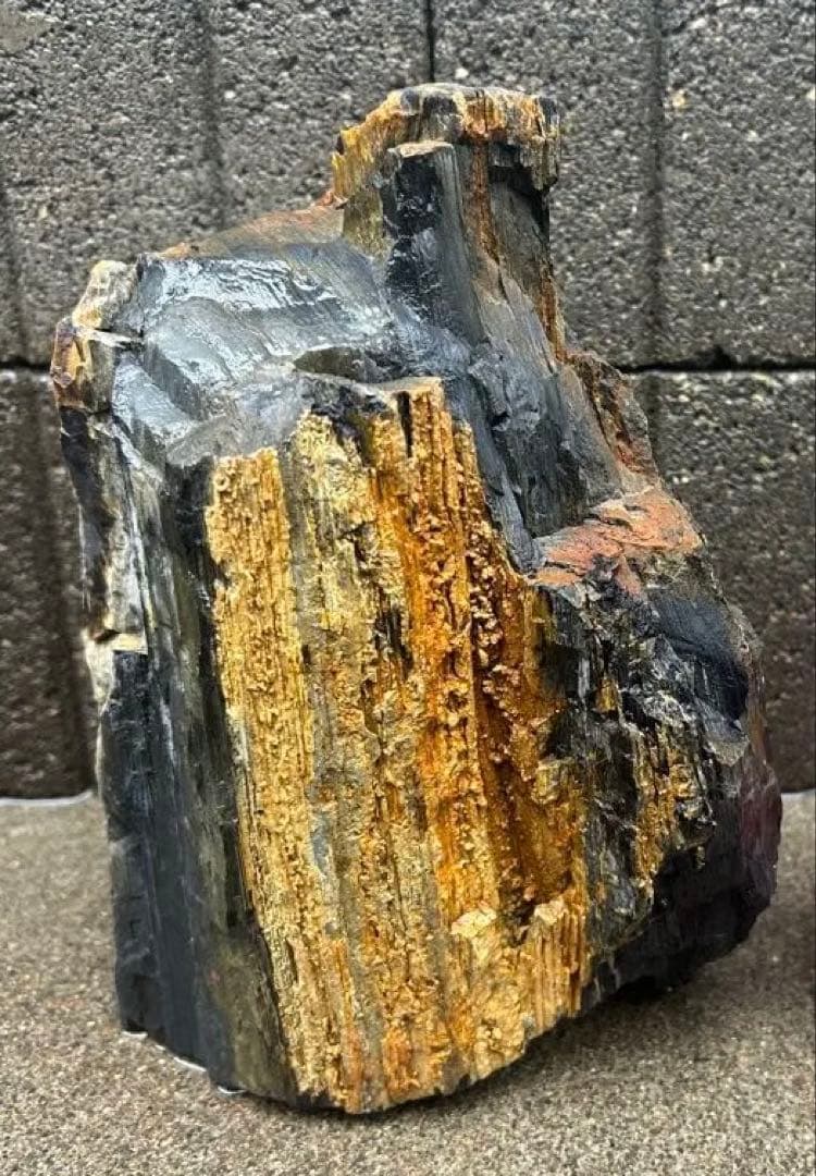 北海道 遠軽瀬戸瀬産 珪化木 5.4kg 特大 木化石 鑑賞石 置物 盆栽 水石