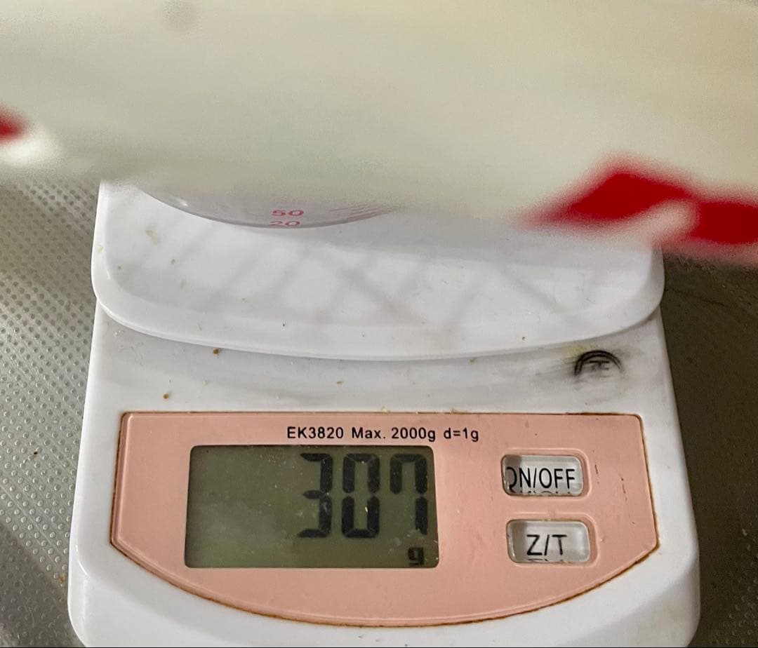 プリンスX100 Japan limited G2