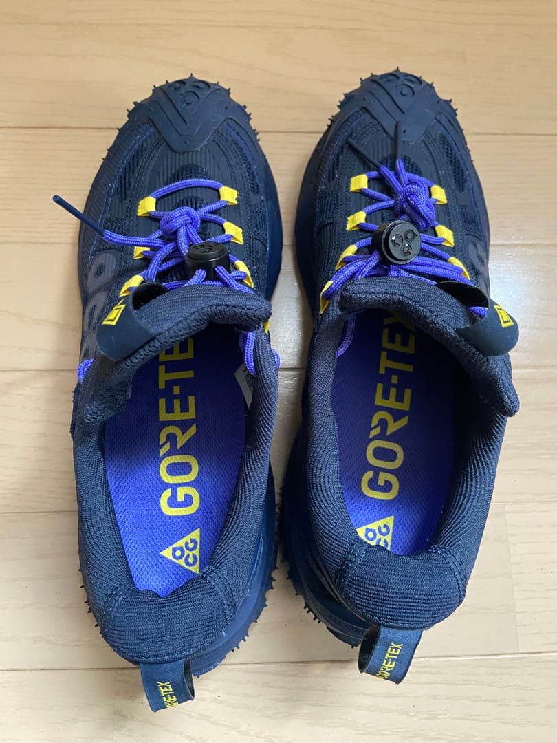 靴 NIKE ACG MOUNTAIN FLY 2 LOW GTX GORE-TEX