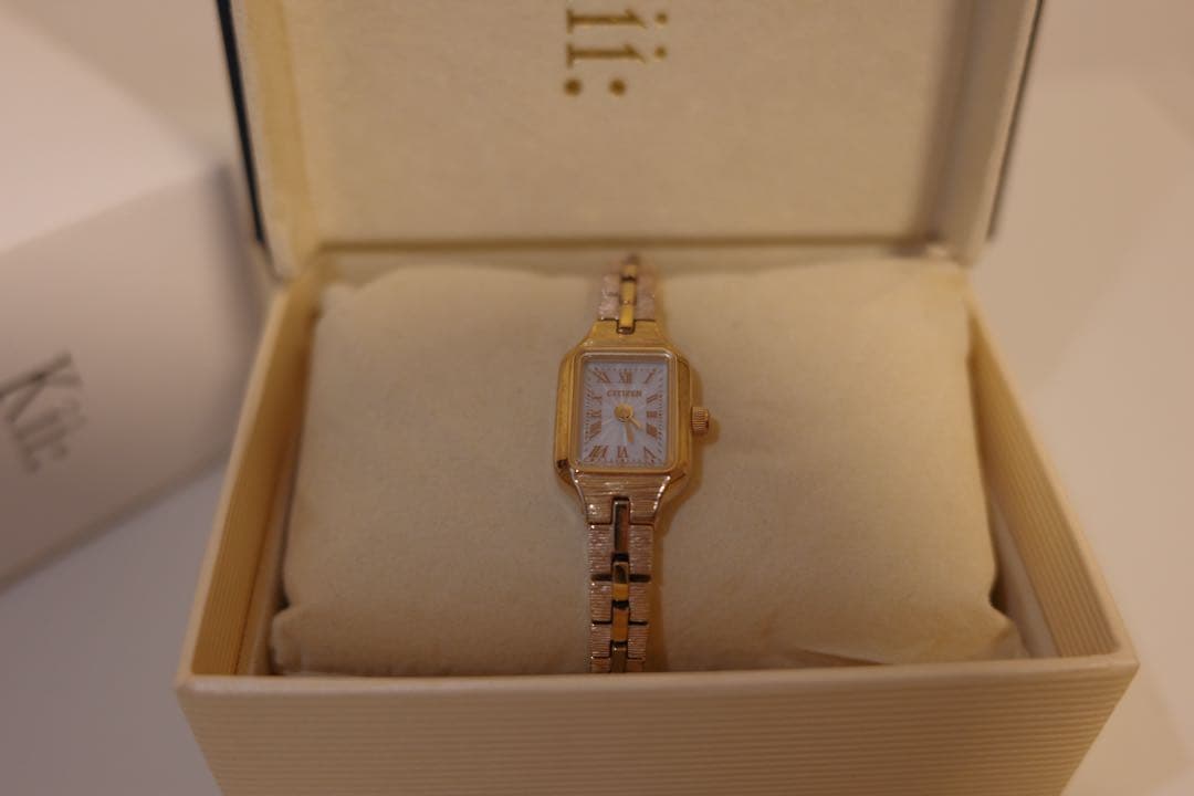 CITIZEN KII Exclusive EG2043-57C HIROB別注