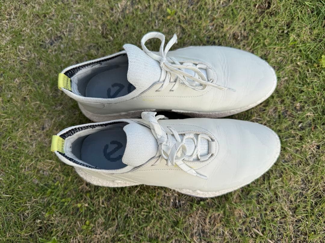 シューズ(女性用) ECCO Golf