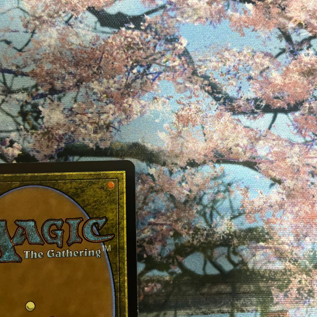 【タケ】MTG 乾燥台地/Arid Mesa ドラゴンスケイルFoil