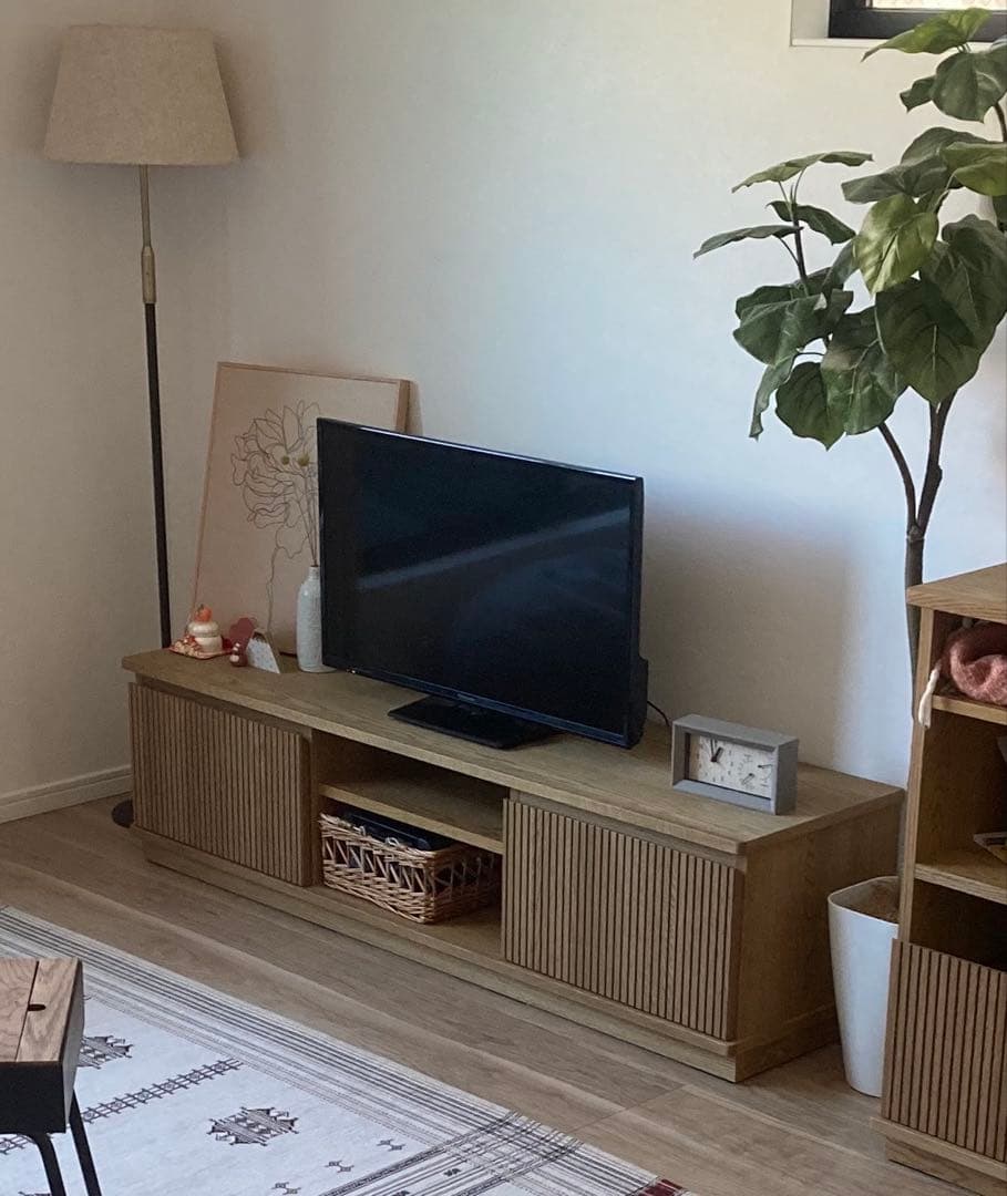 unico DIFE TVボード W1500