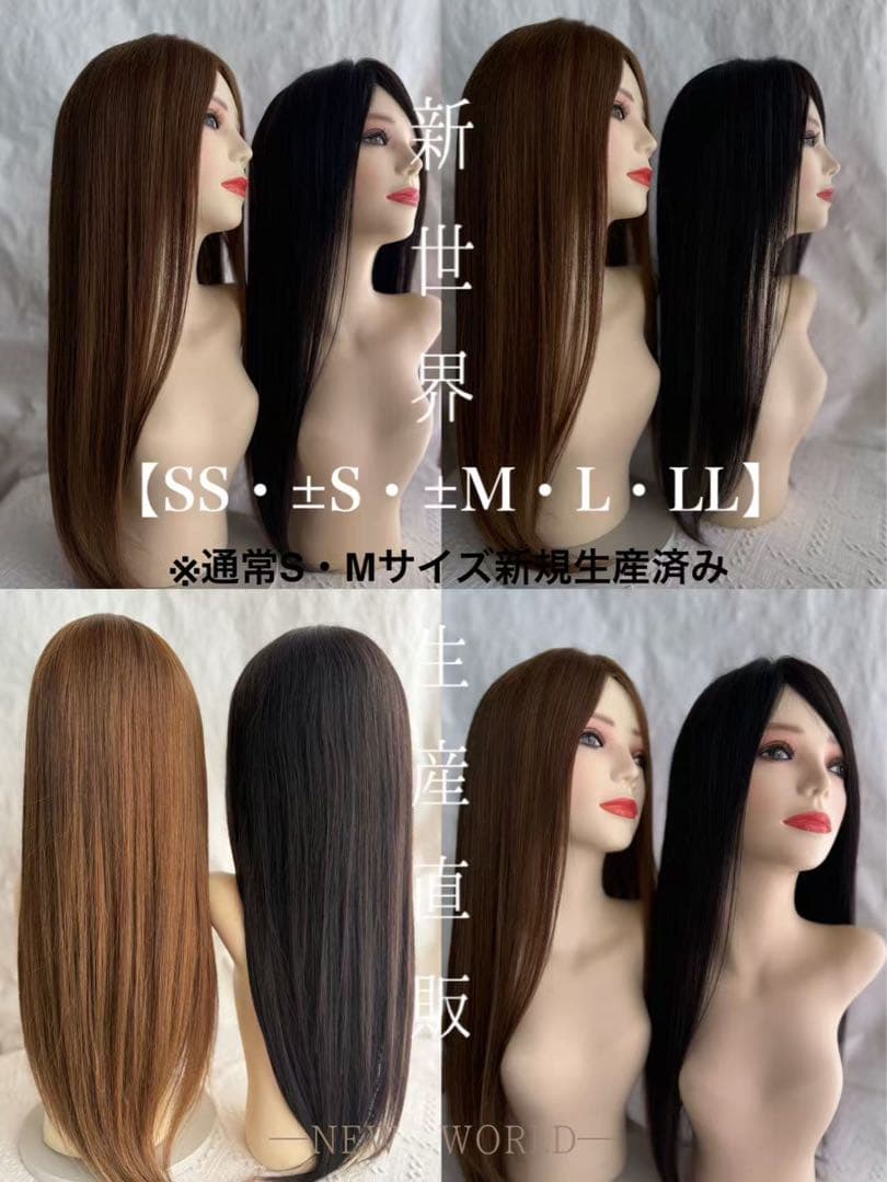 真2025新世界超人工肌人毛100%ウィッグ　ヘアピース　総手植え　部分ウィッグ
