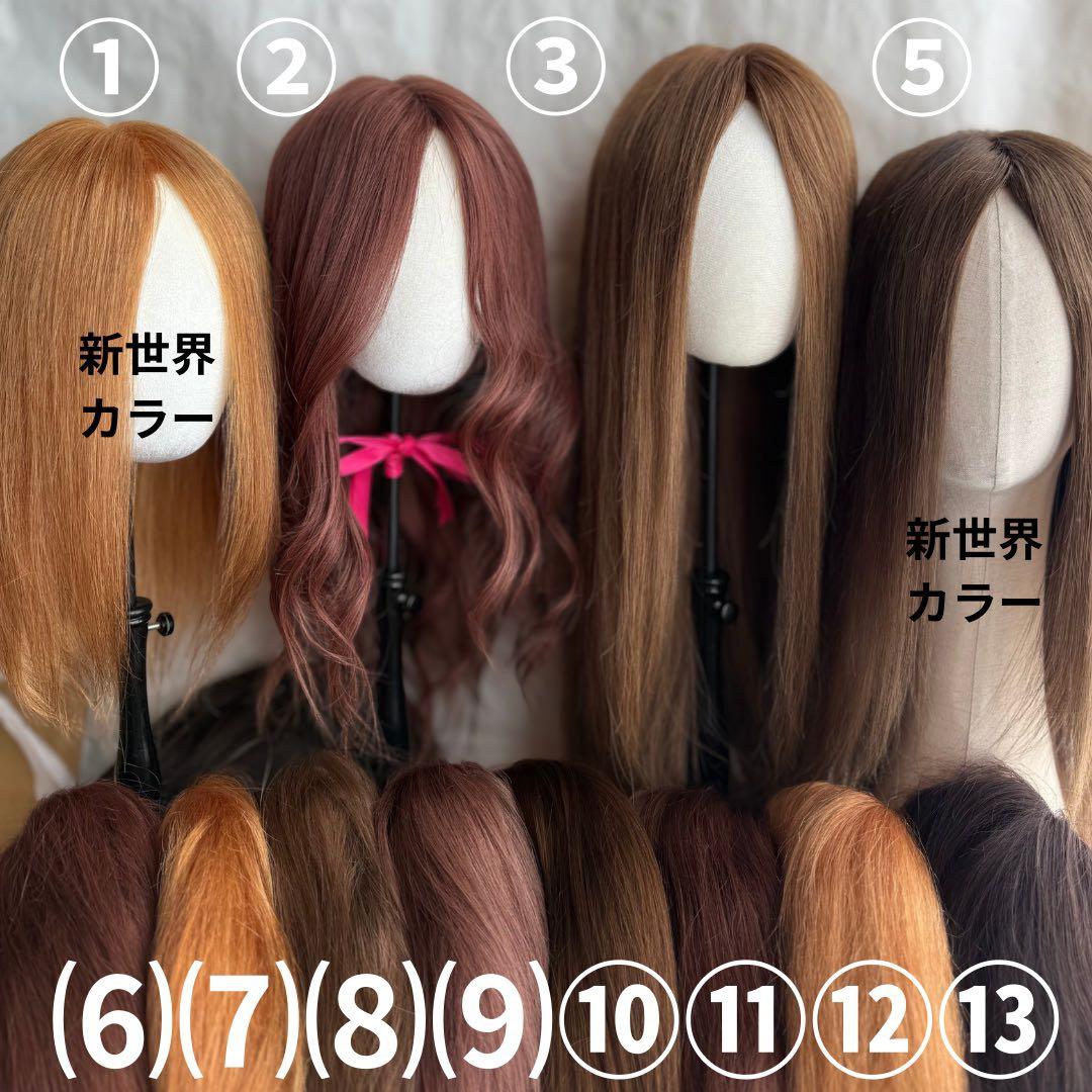 真2025新世界超人工肌人毛100%ウィッグ　ヘアピース　総手植え　部分ウィッグ