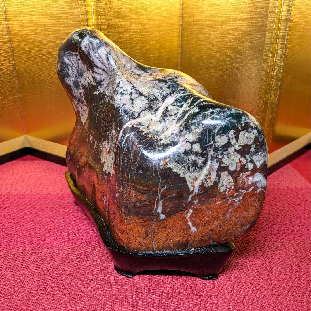 菊花石 岐阜県根尾谷産4.9㌔ 鑑賞石 観賞石 水石 盆石 天然石 三蓋松同種