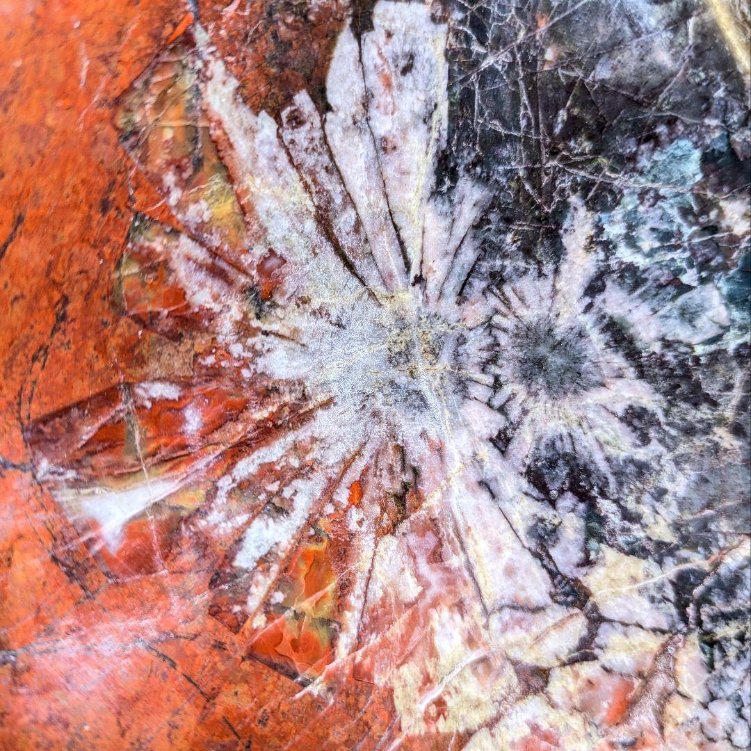 菊花石 岐阜県根尾谷産4.9㌔ 鑑賞石 観賞石 水石 盆石 天然石 三蓋松同種