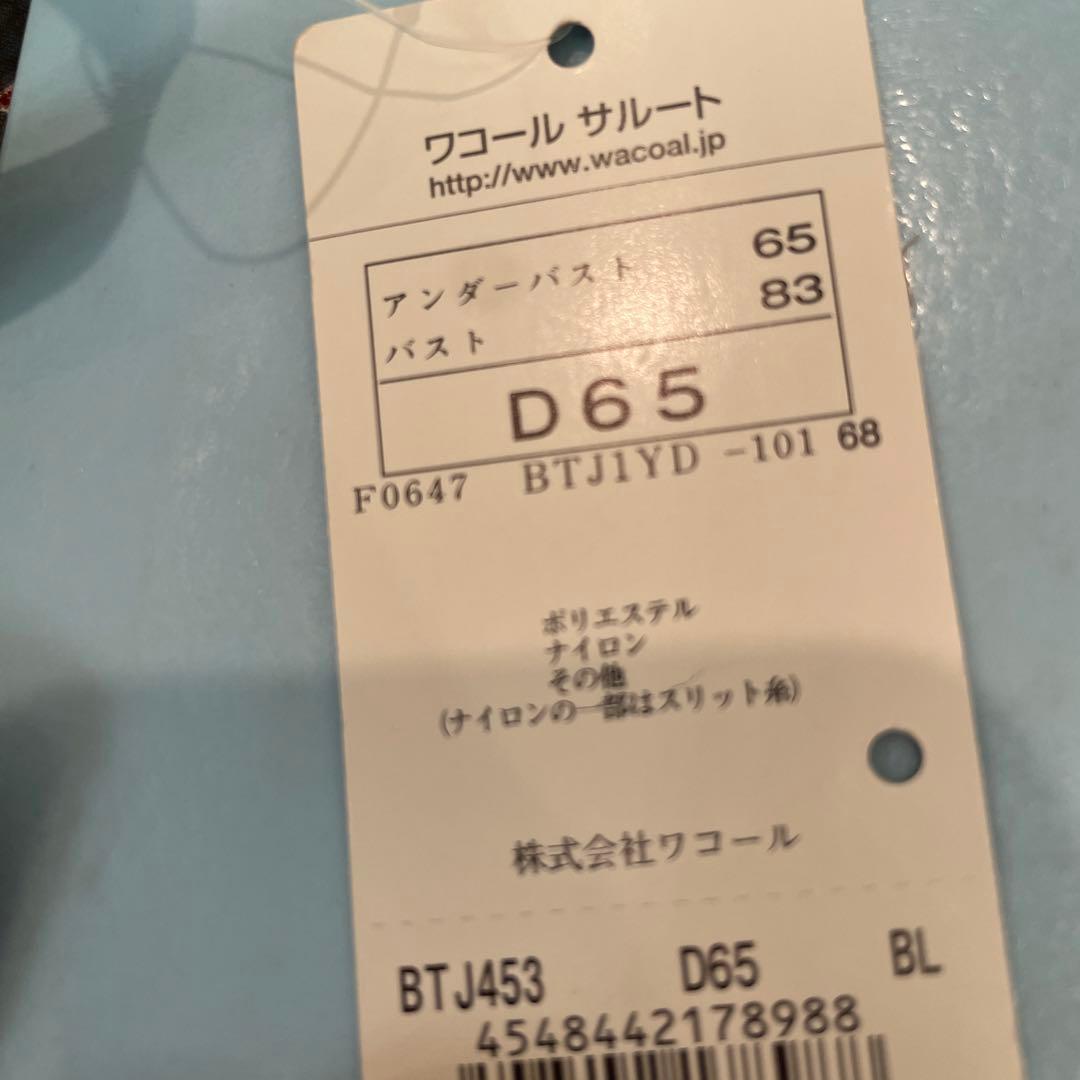 サルート D65/M 53G BL シャガール ⭐︎