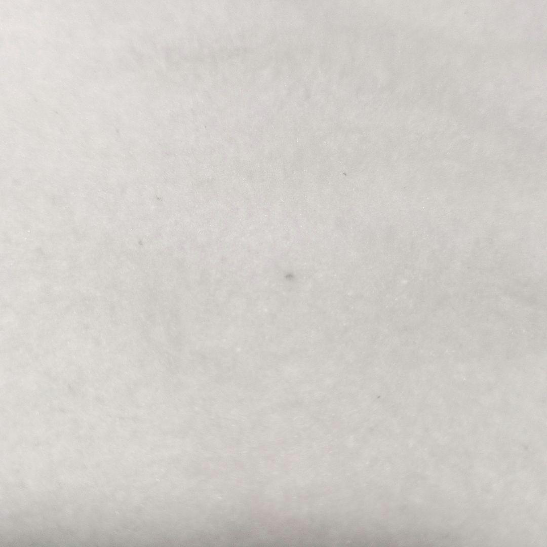 mayuarau 洗えるシルク混敷毛布カバー ベージュ 二枚セット