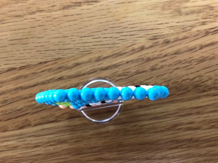 海水魚
