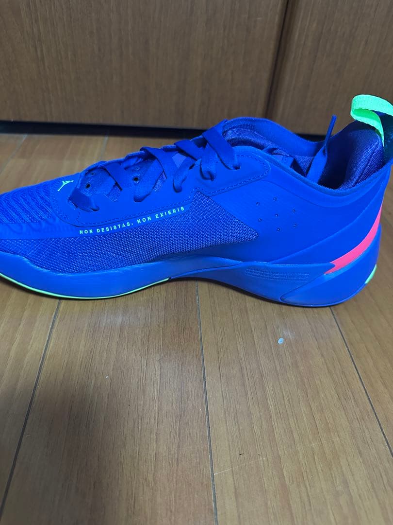 シューズ(男性用) JORDAN LUKA 1 PF 9.5
