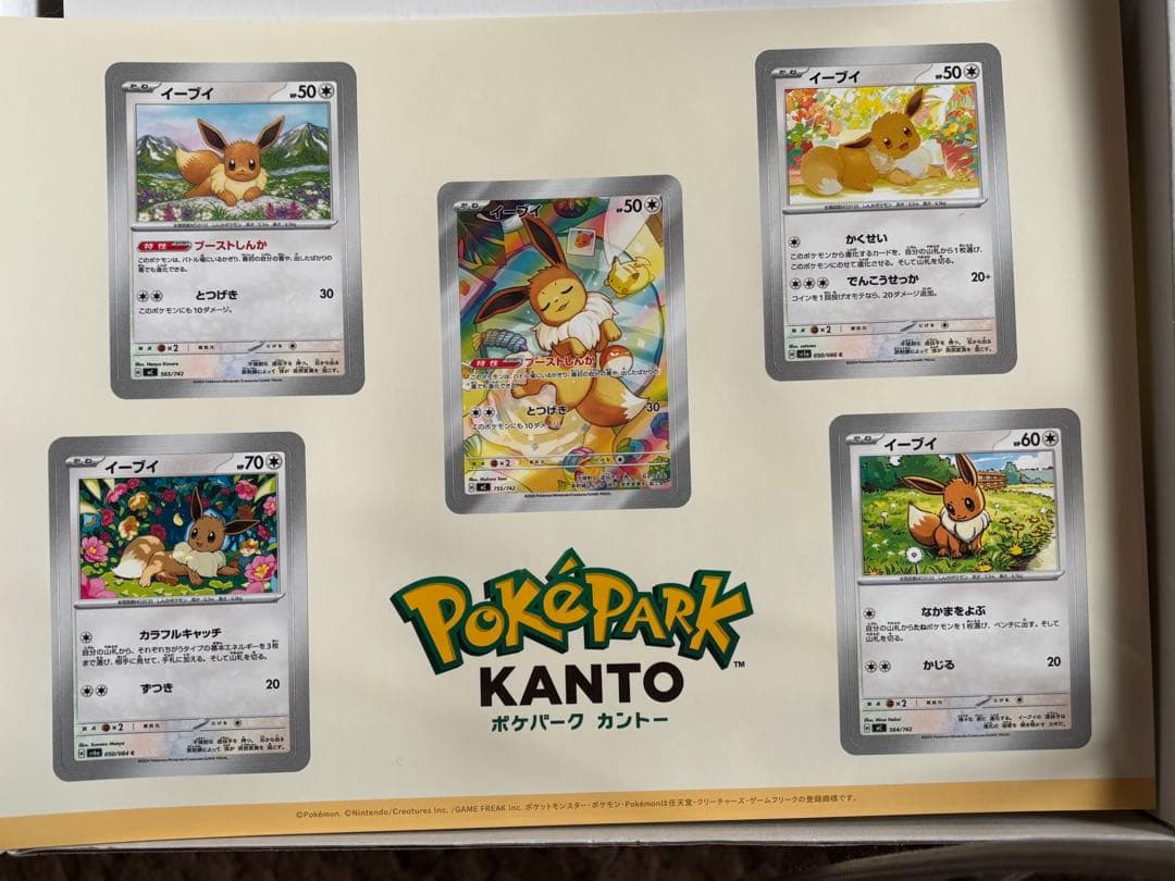 ポケパークカントーピンズ10個とプレミアムボール、シール、研究ノート、プァイル