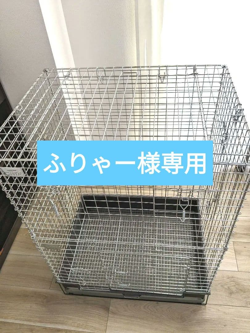 コンフォート60 チンチラスペシャル