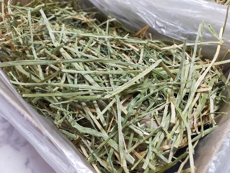カナダ産 チモシー 60kg スーパープレミアム １番刈り