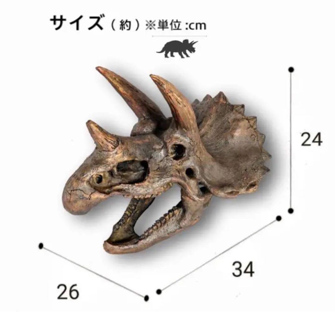 ✨大迫力✨ トリケラトプス　恐竜の化石 レプリカ ジュラシックワールド