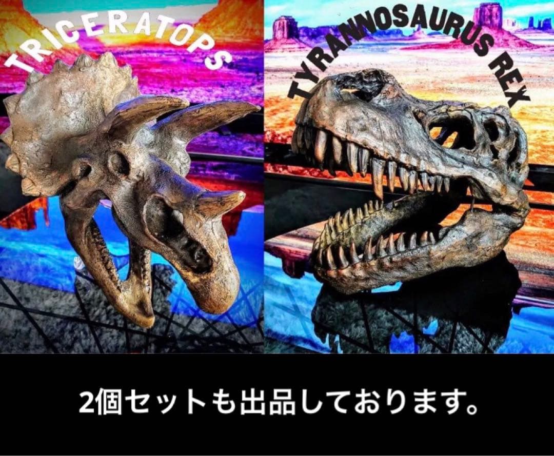 ✨大迫力✨ トリケラトプス　恐竜の化石 レプリカ ジュラシックワールド