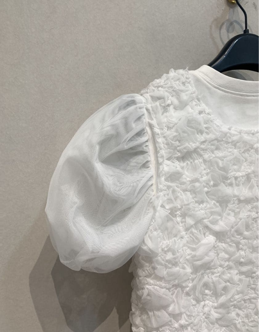 【SALE❣️】TULLE VEST LAYERED TOPS CLANE