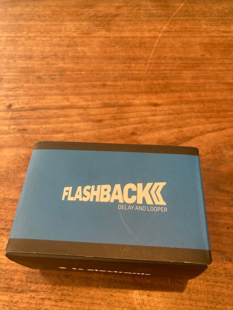 tc electronic FLASHBACK ディレイとルーパー