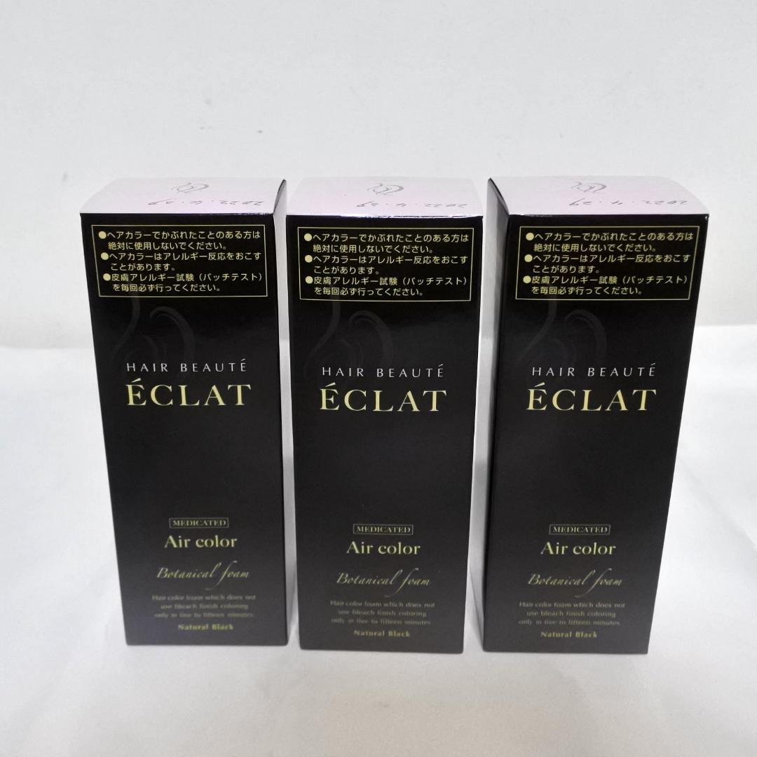 ヘアボーテ エクラ ボタニカル エアカラーフォーム ブラック80g×3箱