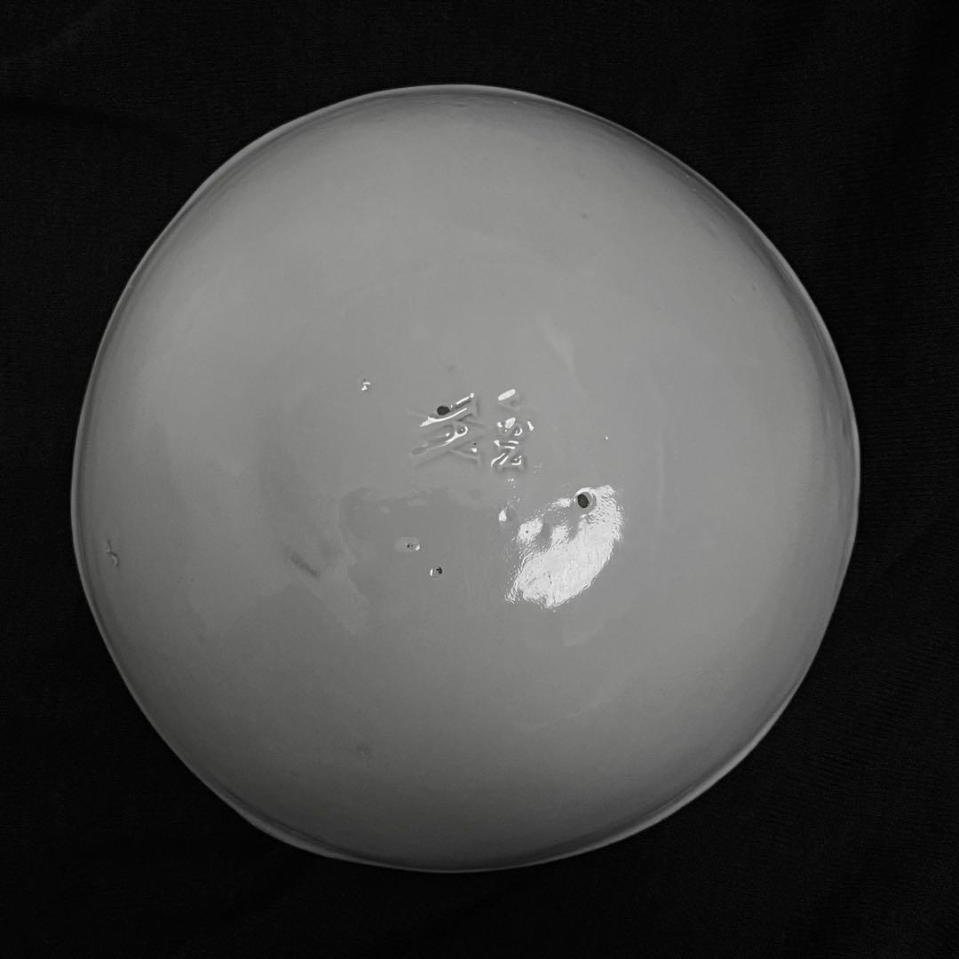 Astier Neptune スーププレート 20cm