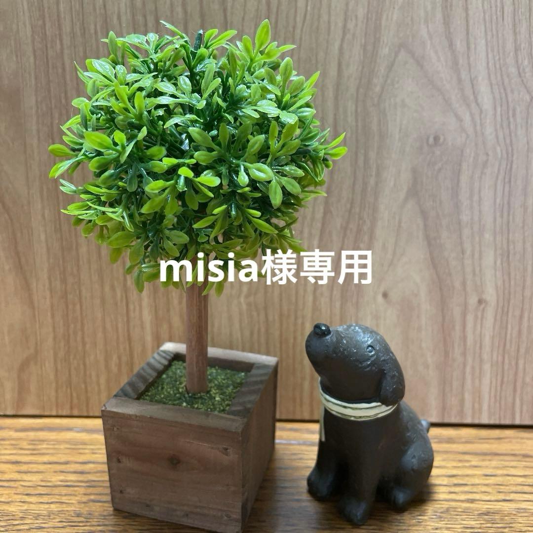 羊毛フェルト　ミニチュアシュナウザー　ソルト&ペッパー　おすわり