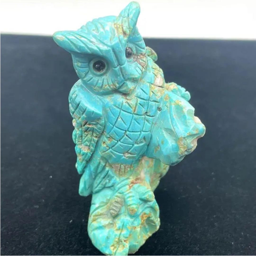 本トルコ石（梟）