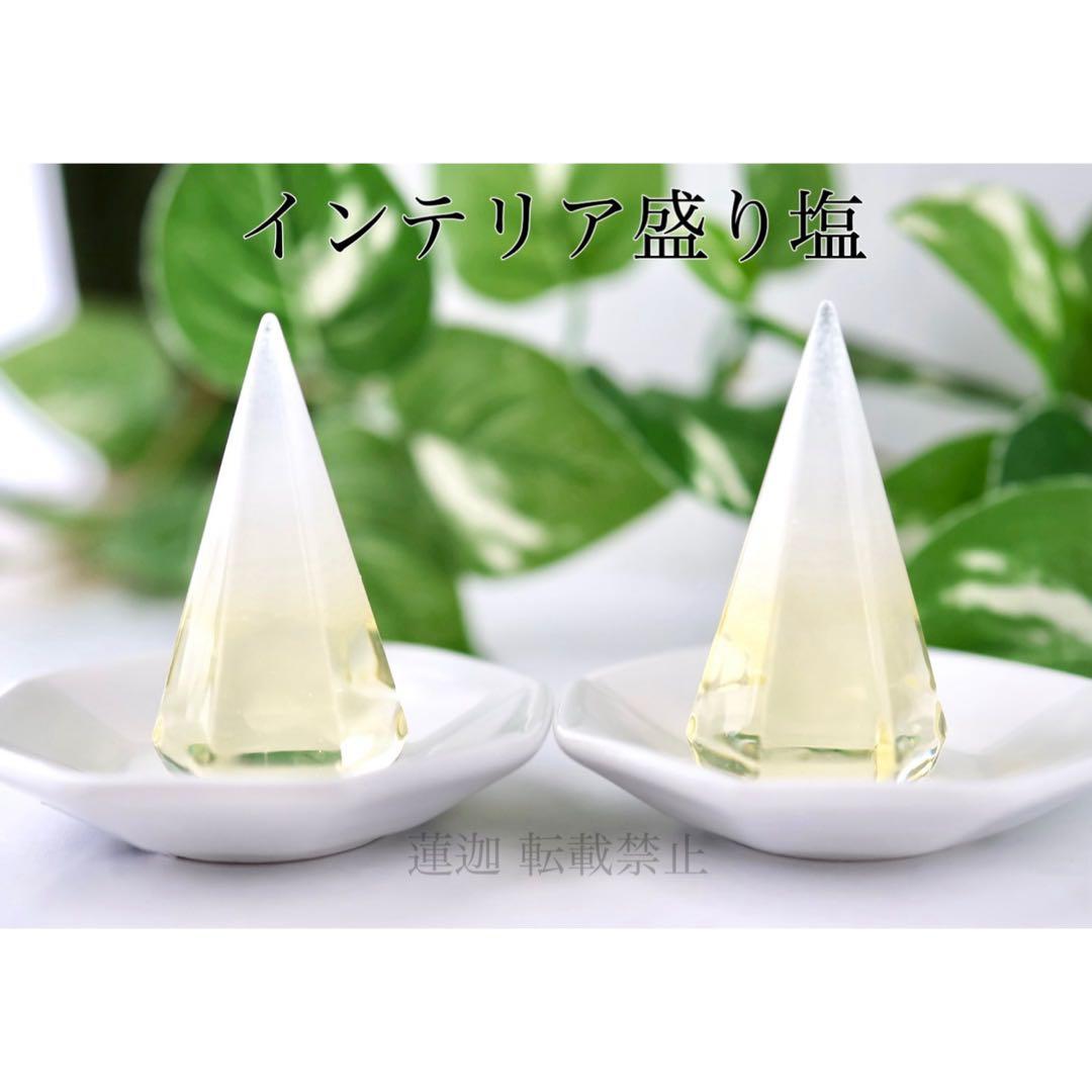 hhkk 8種類 盛り塩16個 八角皿ノーマル16枚