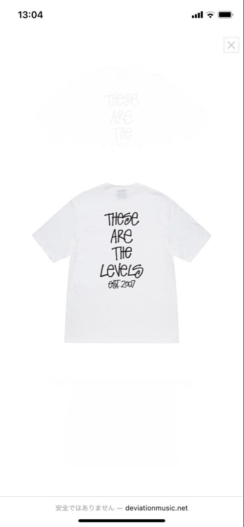 Stussy x Deviation Record 15 Years Mサイズ