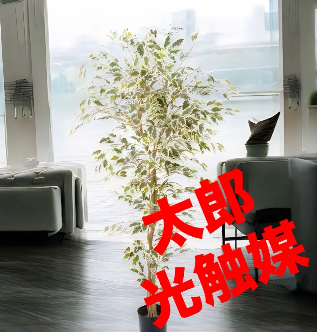 光触媒　人工観葉植物　ウォールグリーン　フェイクグリーン　ベンジャミンフィカスA