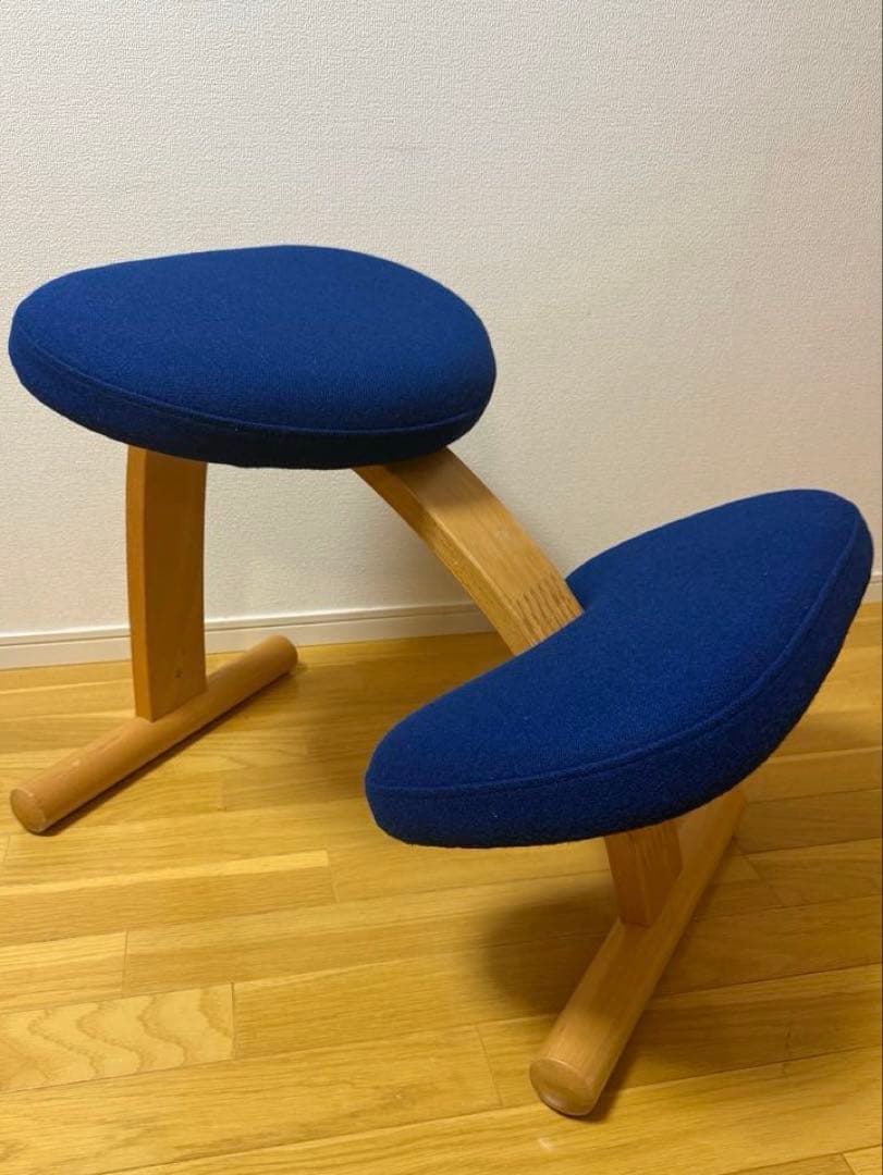 Rybo社 リボ社　［専用カバー付]　バランスチェア イージー