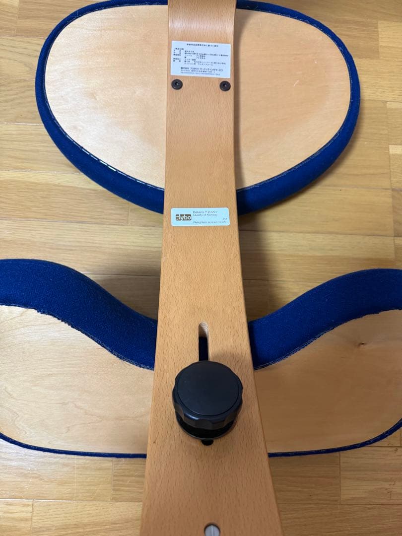 Rybo社 リボ社　［専用カバー付]　バランスチェア イージー