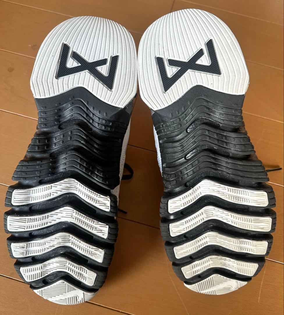 ナイキフリーメトコン　4 プレミアム　25.5