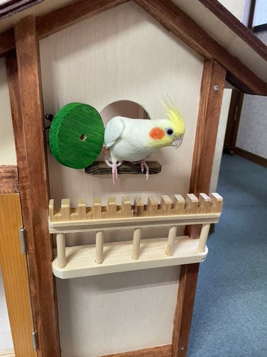 木製インコケージ鳥かご小動物ケージ